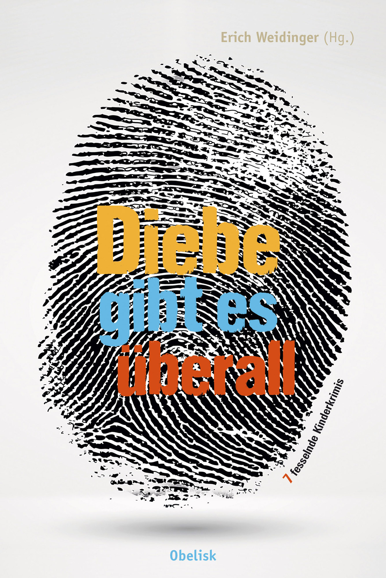 Diebe gibt es überall (E-Book)